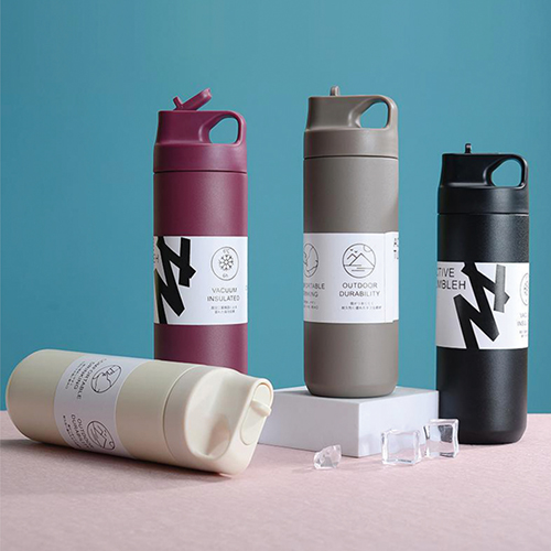550ml  Thermal Flask with Straw Handle